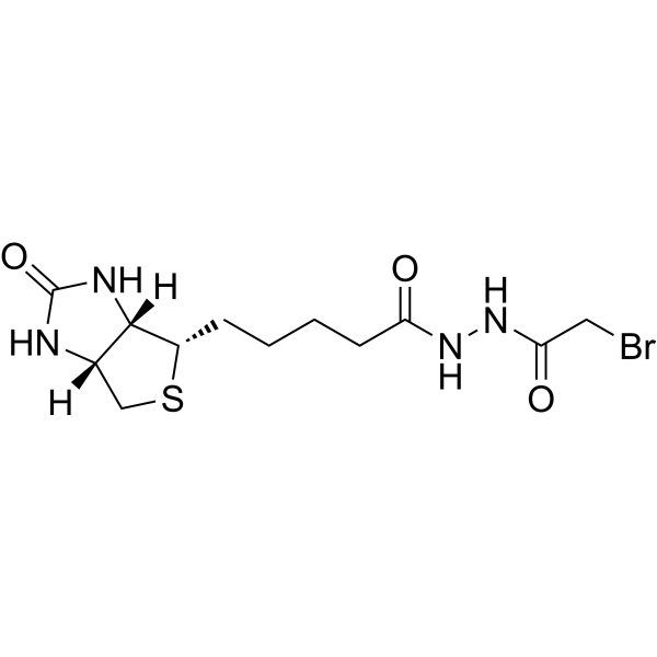 Biotin N-(bromoacetyl)hydrazide 57170-18-0